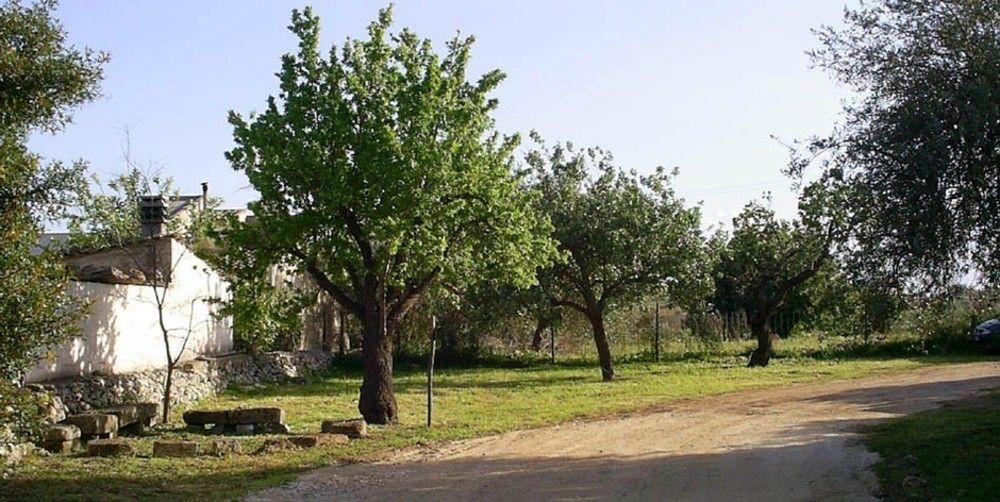 Agriturismo Terra Di Pace Noto Exteriör bild