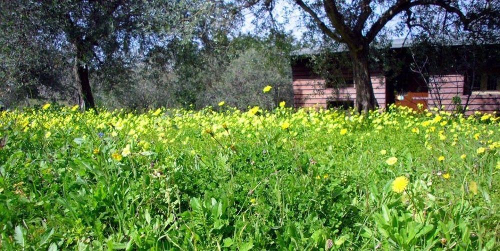 Agriturismo Terra Di Pace Noto Exteriör bild
